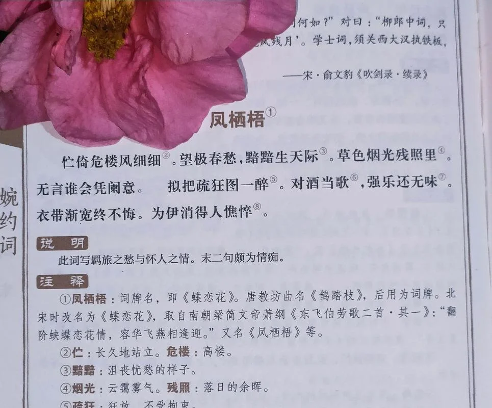 柳永的诗简介-柳永词作概览