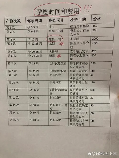 孕期做四维多少钱_2