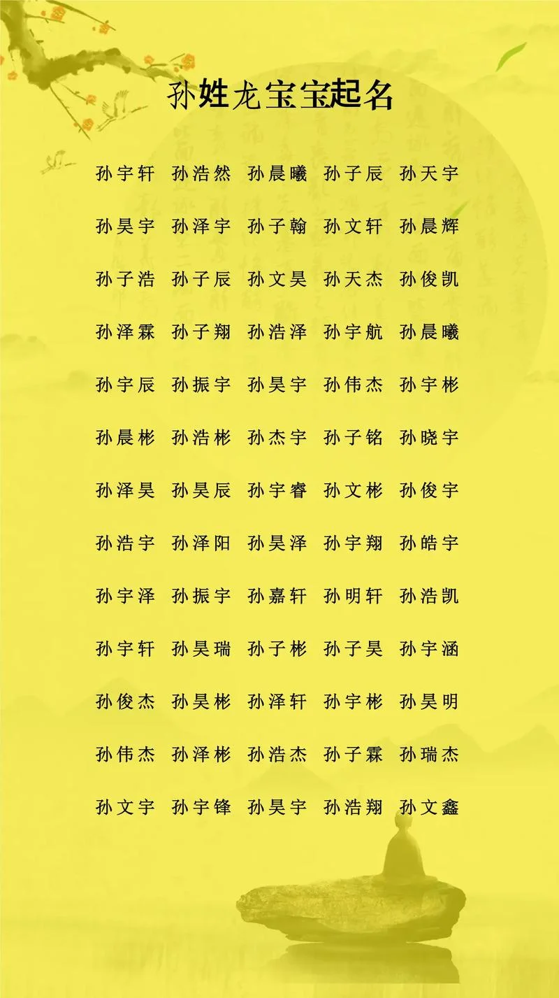 男宝宝起名字猴年王_2