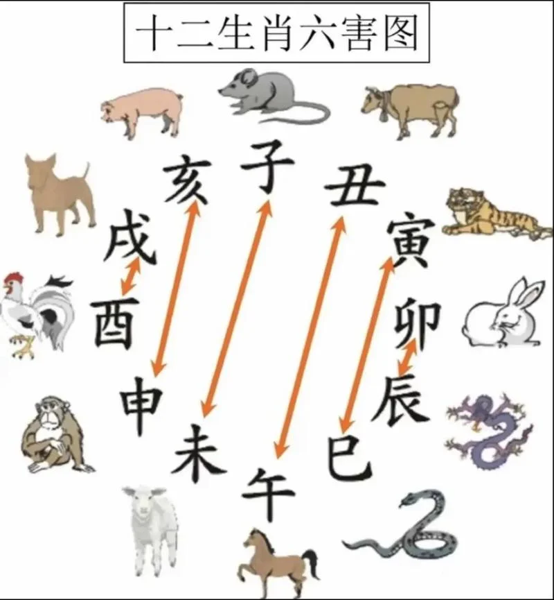 属相婚配表相克大全_1