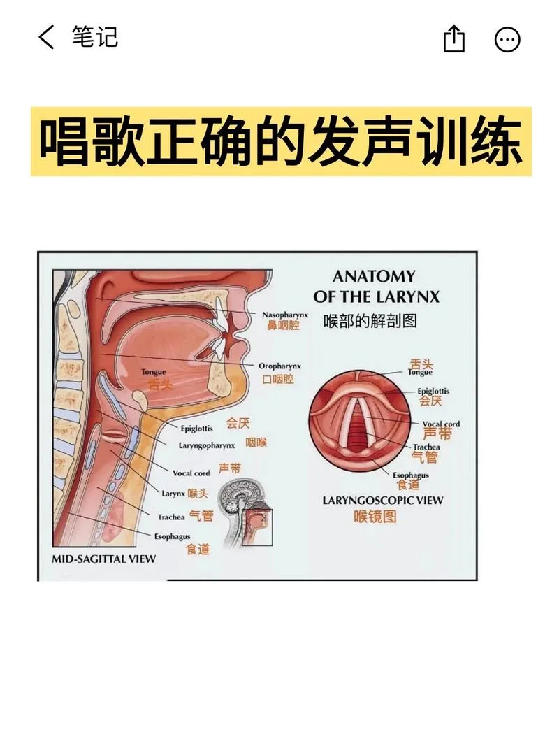 唱歌多大孩子可以学-多大孩子学唱歌