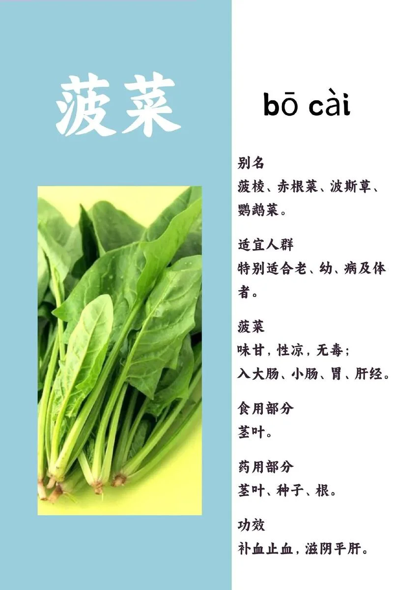 菠菜是几月份的时令菜_1