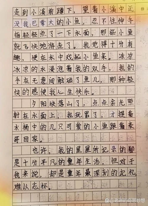 周记童年的趣事-童年趣事周记