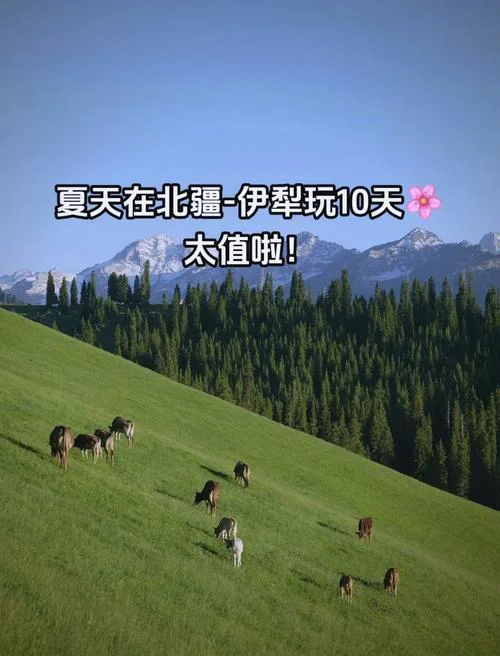 新疆10日游旅游攻略_1
