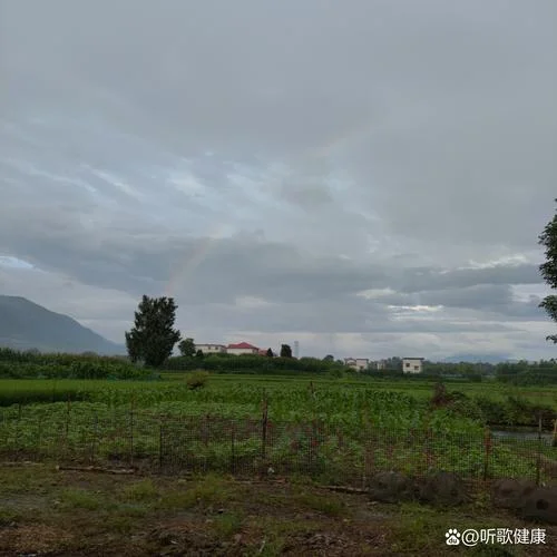 梦见下雨后天晴_1