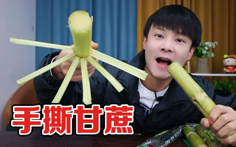 梦见吃甘蔗把牙子咬断了_2