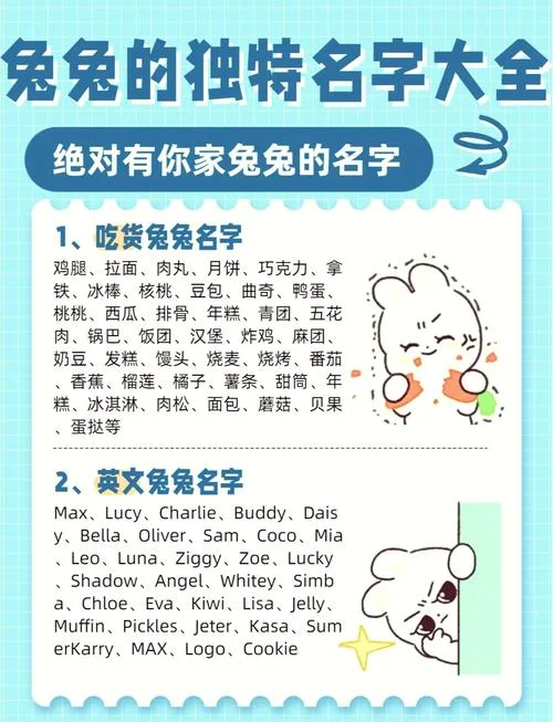 rabbit是什么意思中文翻译_2