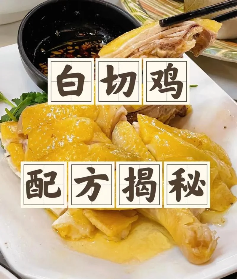 白切鸡哪里学-白切鸡最佳来源