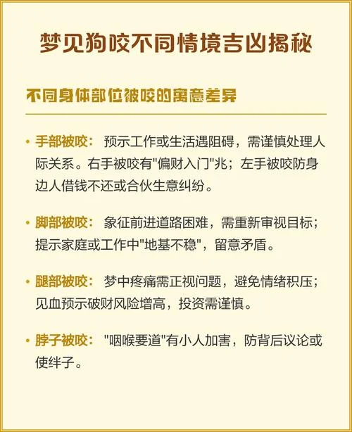 梦见会说话的狗_1
