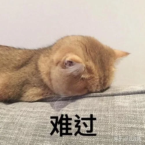 梦见陌生人在家里睡觉_1