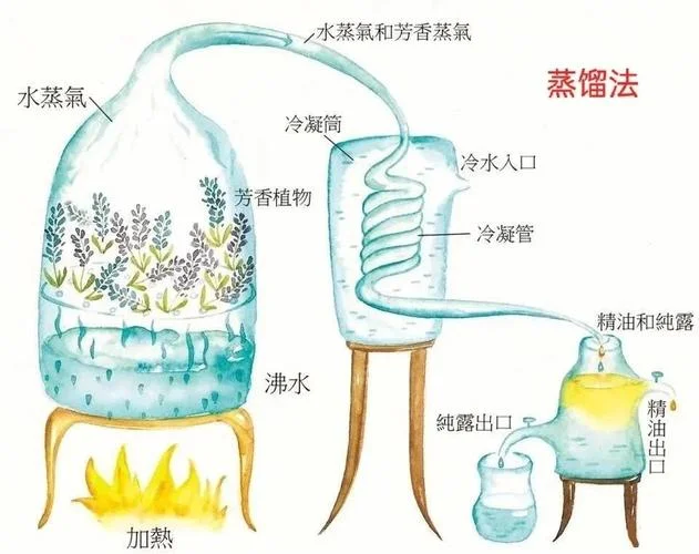索氏萃取原理_2