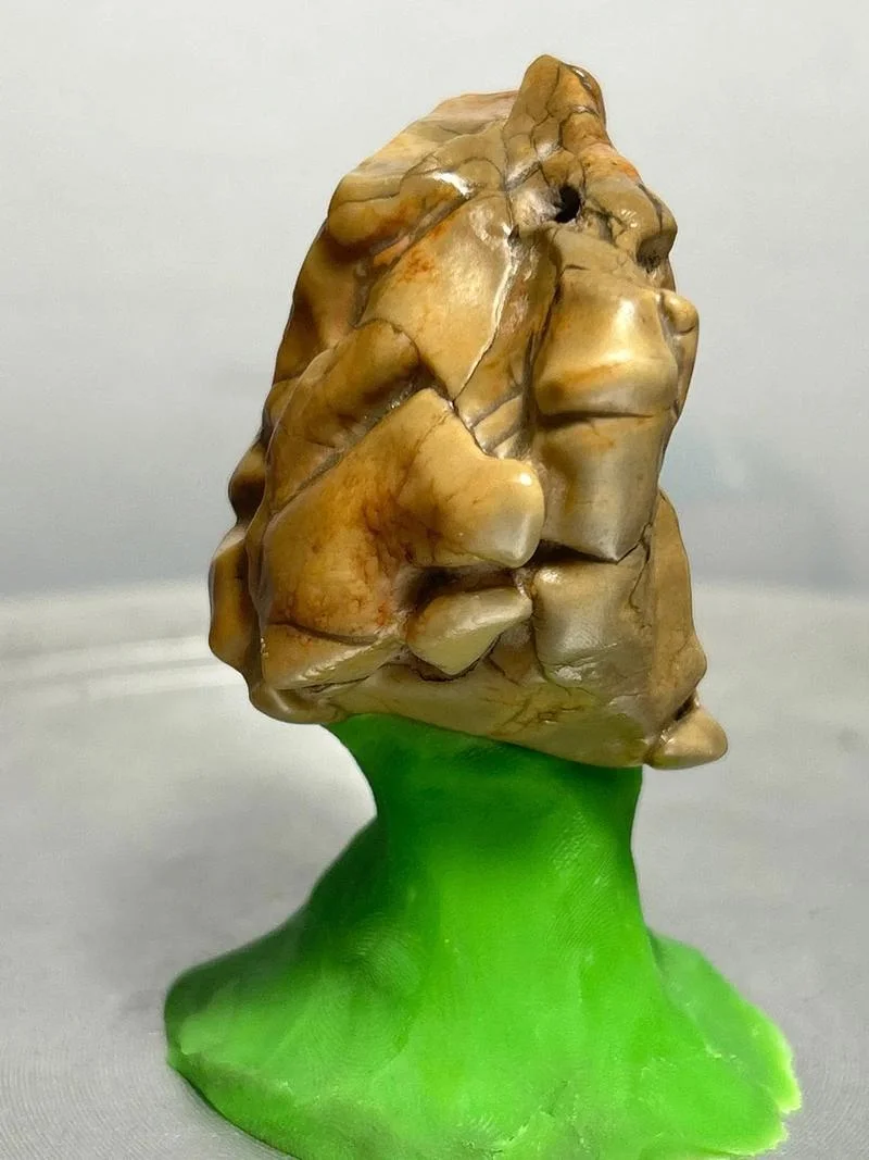 月牙石值多少钱_2