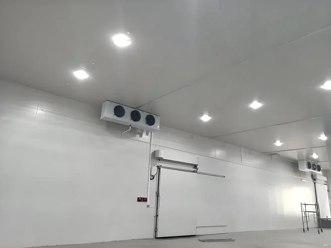 我想建一个冷库_2
