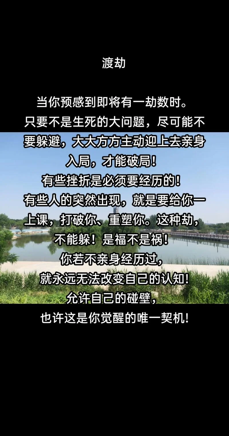 历情劫的心情感悟-历劫情悟心感悟