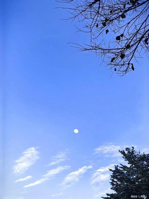 梦见晚上月亮亮如白天-月明如昼