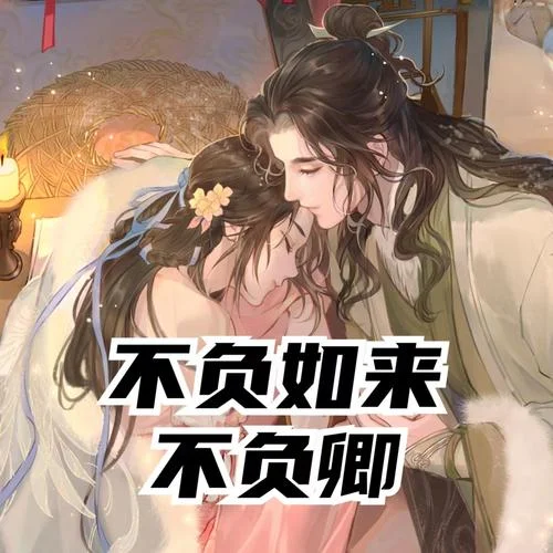 不负苍生不负卿上一句_2