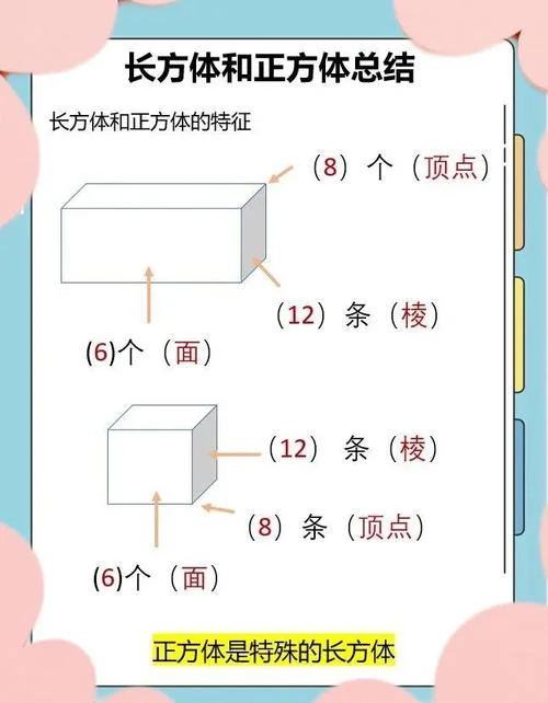 体表面积计算公式简单_2