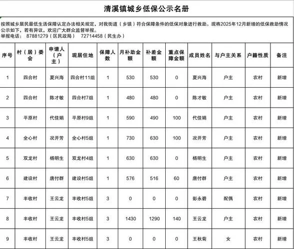查低保是在哪里查_2