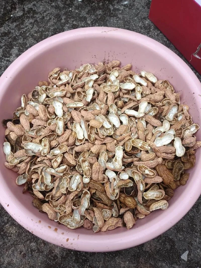 梦到吃花生米什么征兆_2