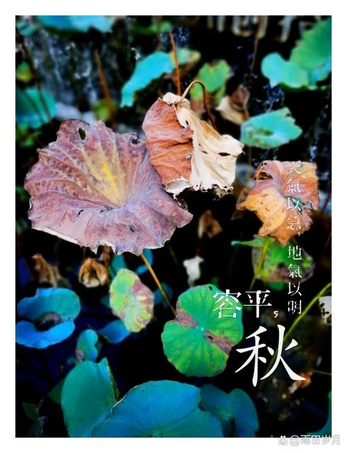 秋天是几月份到来呢-10 月到来