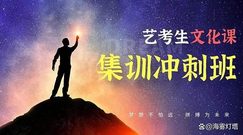 杭州艺术生文化课高考冲刺培训班_2