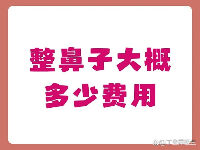 现在整个鼻子多少钱_1