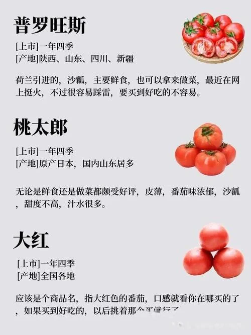 水果西红柿品种大全介绍-水果西红柿品种大全