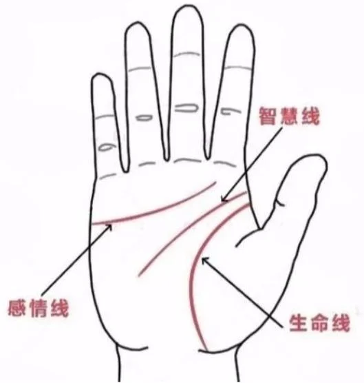 手相三条智慧线_1