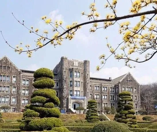 韩国延世大学最新现状_2