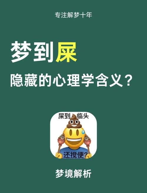 梦见自己拉大便在裤子里_2