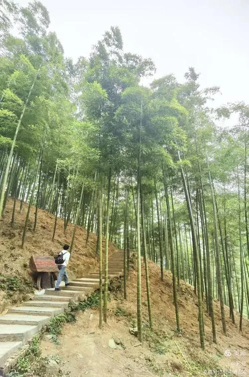 安吉竹海旅游攻略穿着-安吉竹海穿装攻略