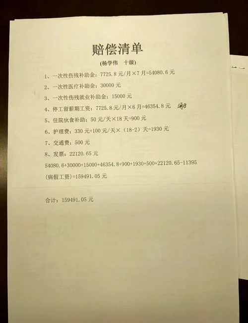 保险公司赔偿收入证明_1