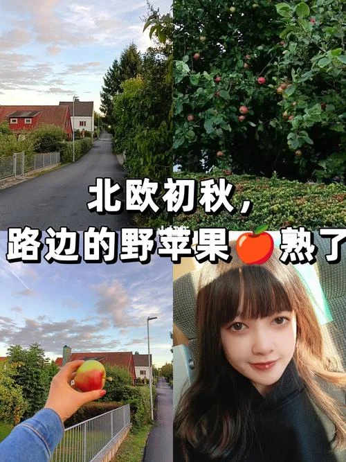 北欧留学vlog_2