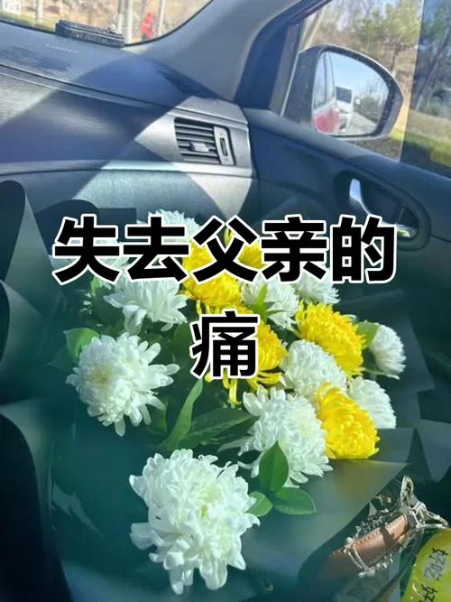 梦到已故的父亲_2