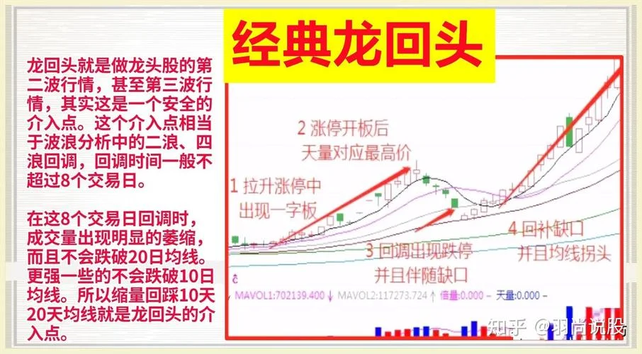 龙头回头选股公式_1
