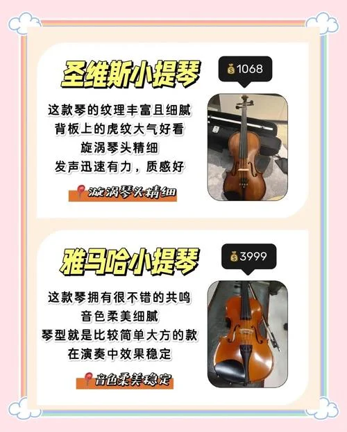 小提琴学习感悟-琴途感悟