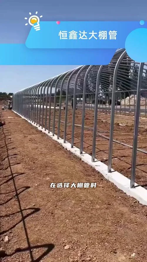 建一亩地的大棚要多少费用_1