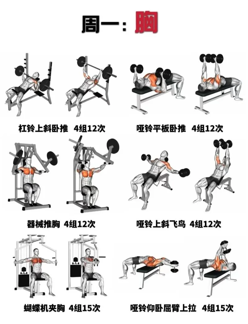 健身怎么学_1