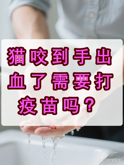 孕妇梦见猫咬自己出血_1