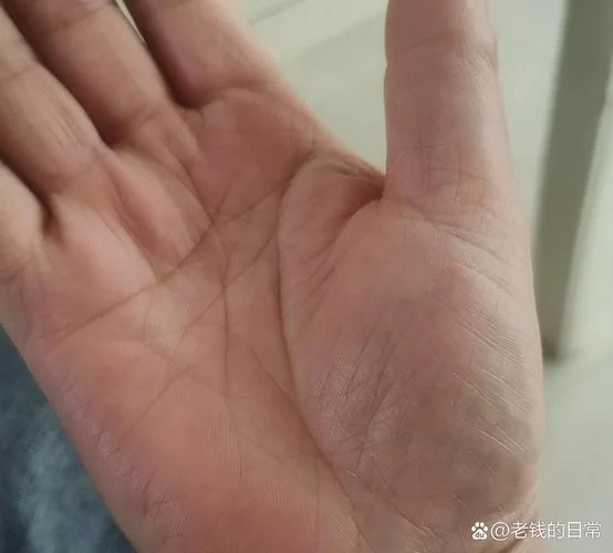 刀剑纹手相_1