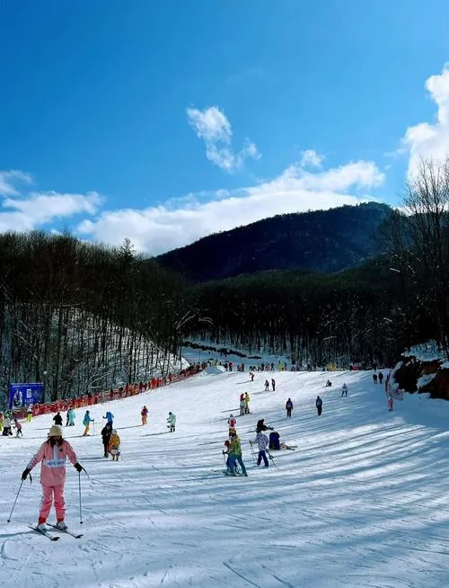 神龙架滑雪旅游攻略-神龙架滑雪旅游攻略