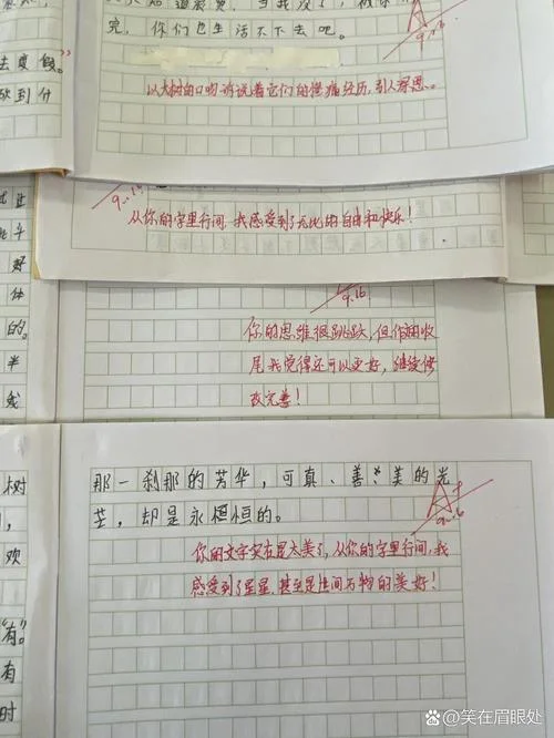 写文段改写作文的评语-写文评改作文