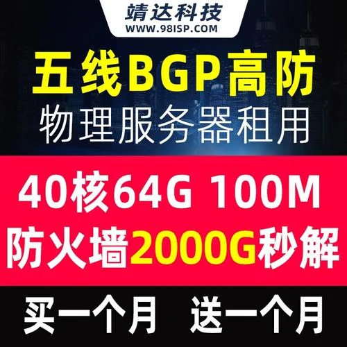 100g高防服务器多少钱能打死_2