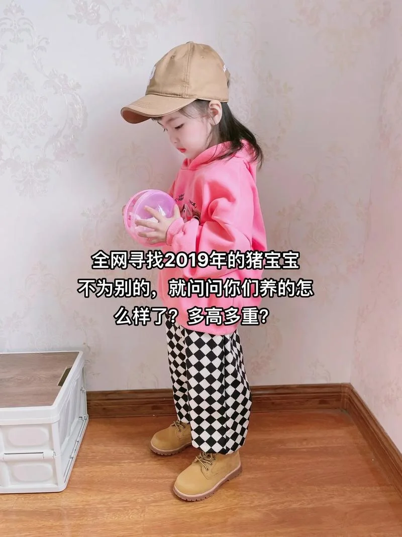 2019猪宝宝几月出生最好_2