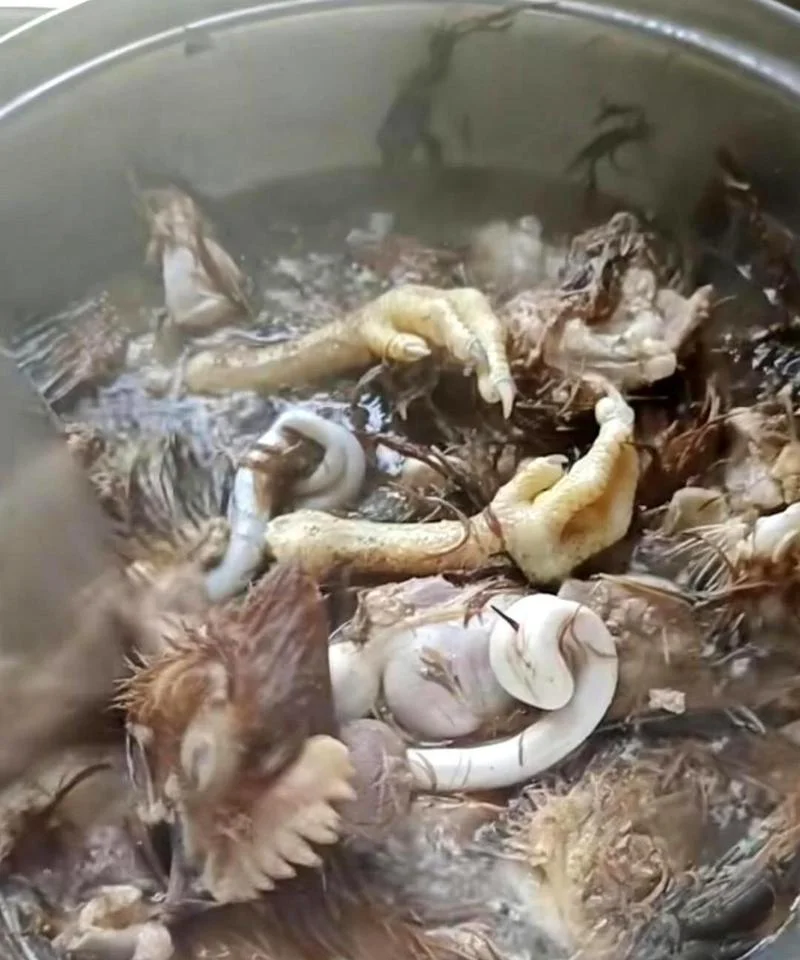 梦见自己吃东西好恶心_2