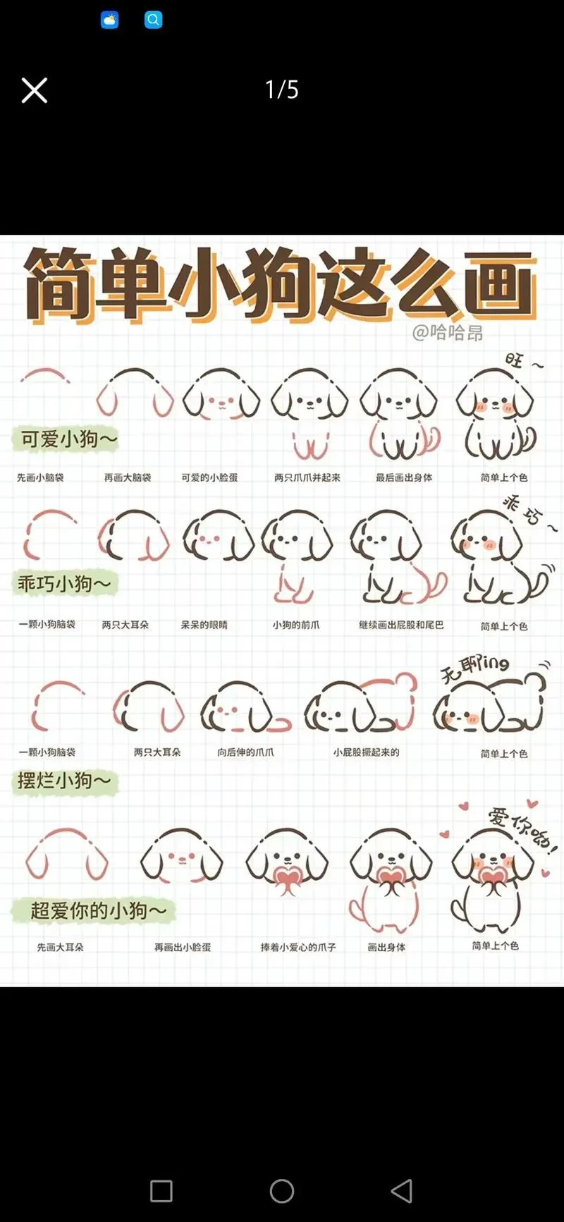 简笔画教程可爱小动物-简笔画教程可爱动物