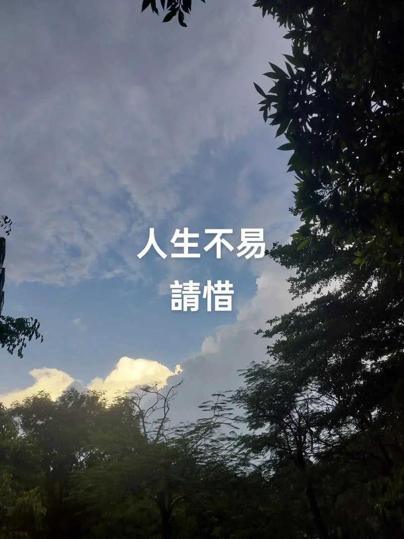 关于人生感悟经典图片-人生感悟经典图