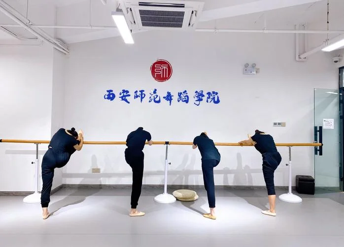 西安艺考舞蹈培训班-西安艺考舞蹈培训
