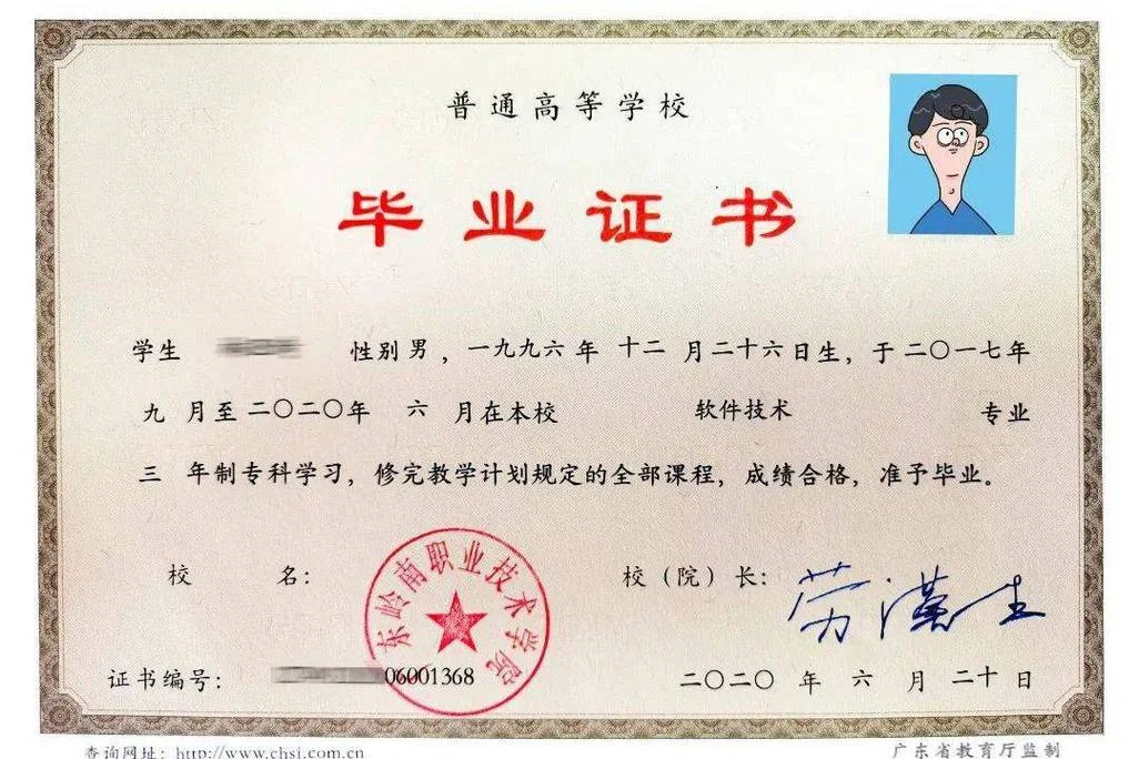 高等教育学历证书查询结果-学历证书查询结果