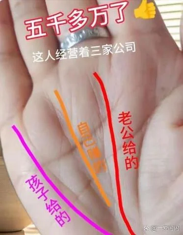 手指尖尖的手相-指尖细相